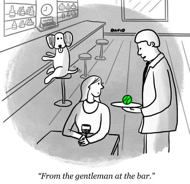 “From the gentleman at the bar.”