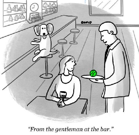“From the gentleman at the bar.”