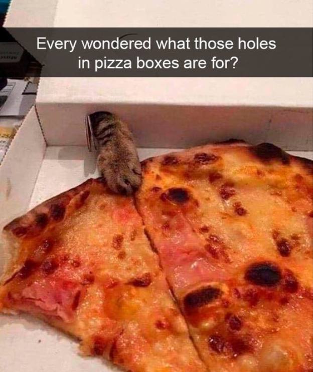 Every wondered what those holes pizza boxes are for?