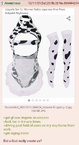 Anonymous No.868444254 Lingerie Set for Women Teddy Japanese One Piece Babydoll Screenshot_20211211-204924 Amazon Shopping~2.jpg 153 JPG >get cow lingerie on amazon >fuck her in it many times >driving