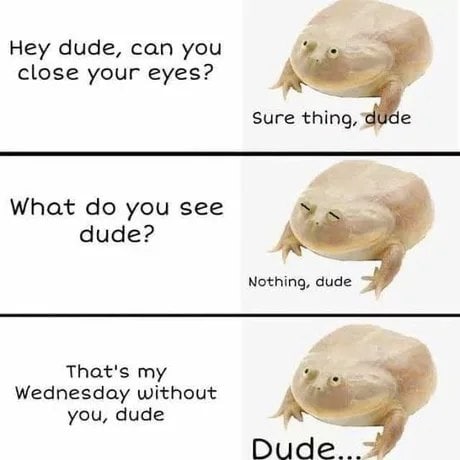 Hey dude, can you close your eyes? А Sure thing, What you see dude? А Nothing, dude That's my Wednesday without А you, dude Dude...
