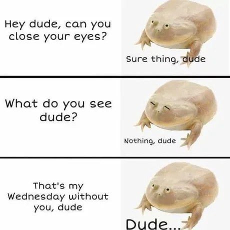 Hey dude, can you close your eyes? А Sure thing, What you see dude? А Nothing, dude That's my Wednesday without А you, dude Dude...