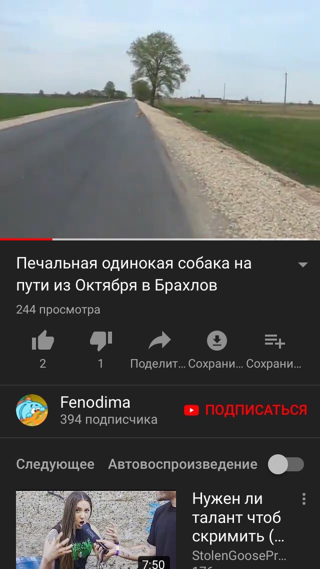 Печальная одинокая собака на пути из Октября в Брахлов 244 просмотра a 1 Поделит... Сохрани... Сохрани... Fenodima 394 подписчика Следующее Автовоспроизведение Нужен ли талант чтоб скримить StolenGoos