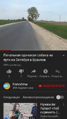 Печальная одинокая собака на пути из Октября в Брахлов 244 просмотра a 1 Поделит... Сохрани... Сохрани... Fenodima 394 подписчика Следующее Автовоспроизведение Нужен ли талант чтоб скримить StolenGoos