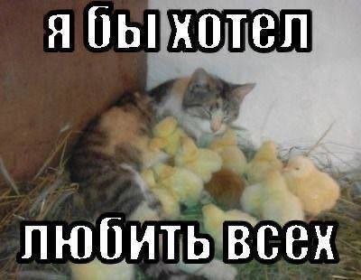 Я бы хотел любить всех
