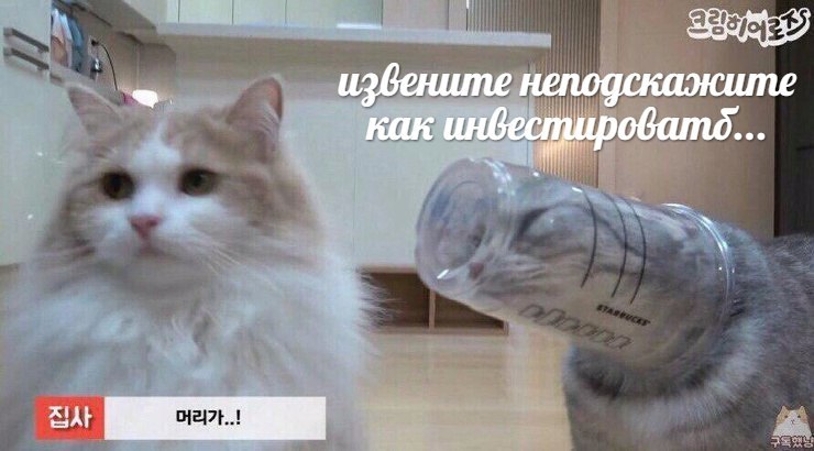 извените неподскажите как