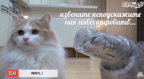 извените неподскажите как