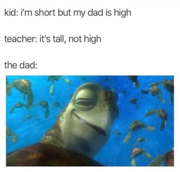 kid: short but my dad Is high teacher: it’s tall, not high the dad: