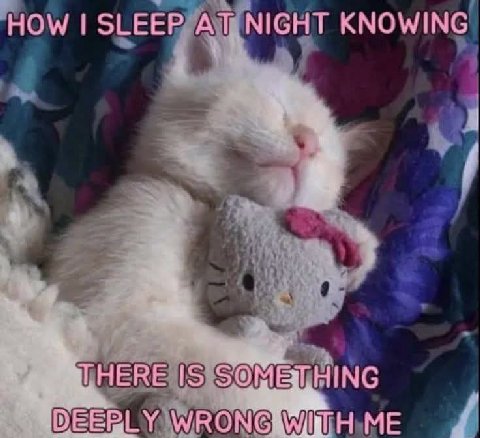 HOW SLEEP NIGHT KNOWING THERE IS SOME HING BLY WRON ME