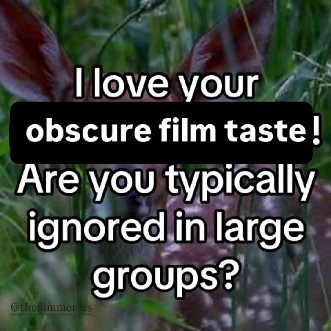 love your obscure film taste! Are you typically ignored in large groups?