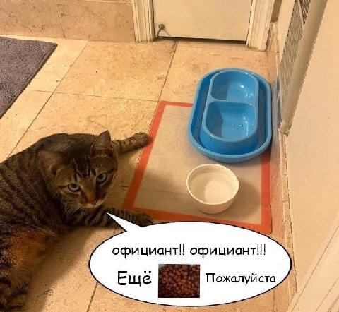 i Я A у 9 официант! Пожалуй ста Еще