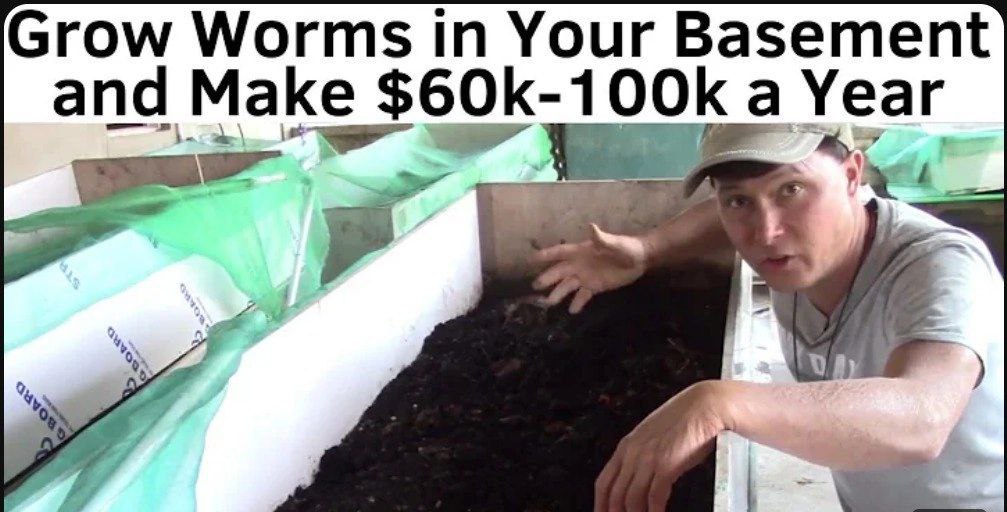 this IS financial advice