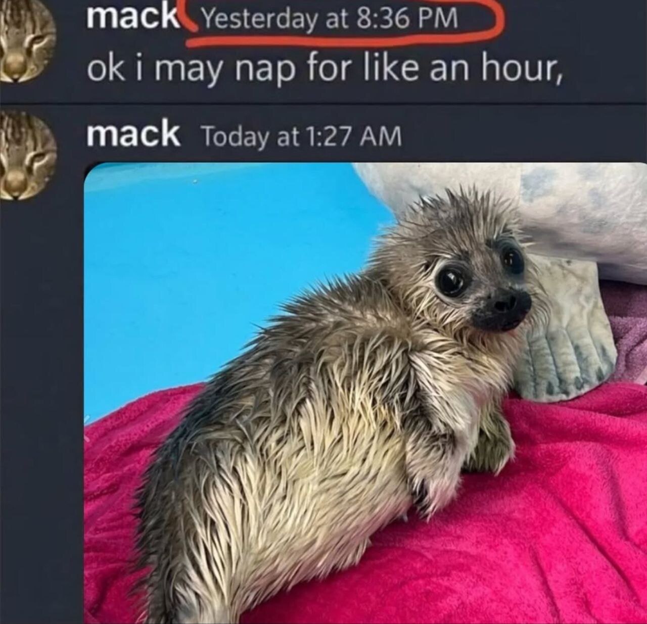 таск mack