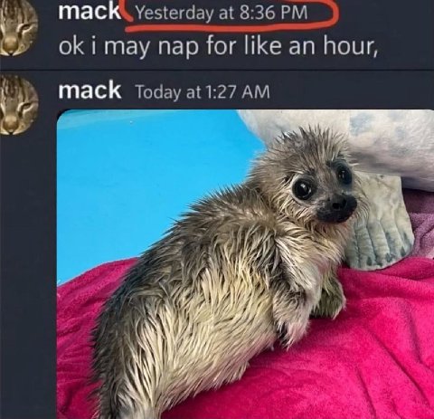 таск mack