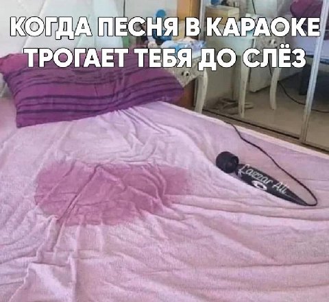 ПЕСНЯ В КАРАОКЕ ТЕБЯ-ДО СЛЁЗ