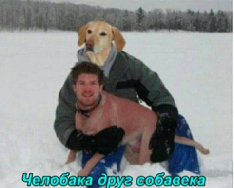 у В “i
