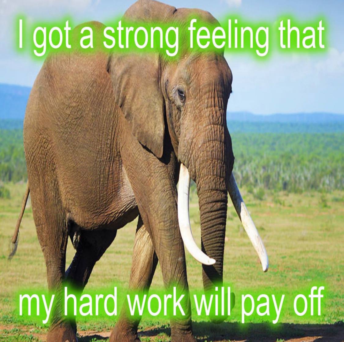 got a strong feeling that my hard work will pay off