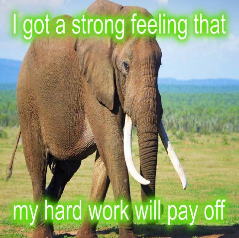 got a strong feeling that my hard work will pay off