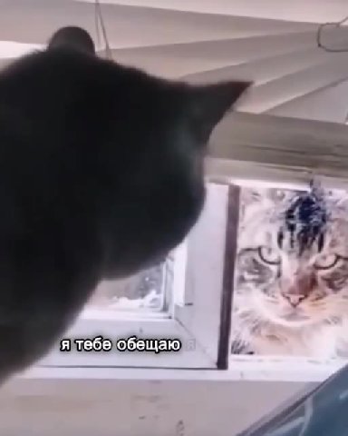 я тебе{обещаю) i.