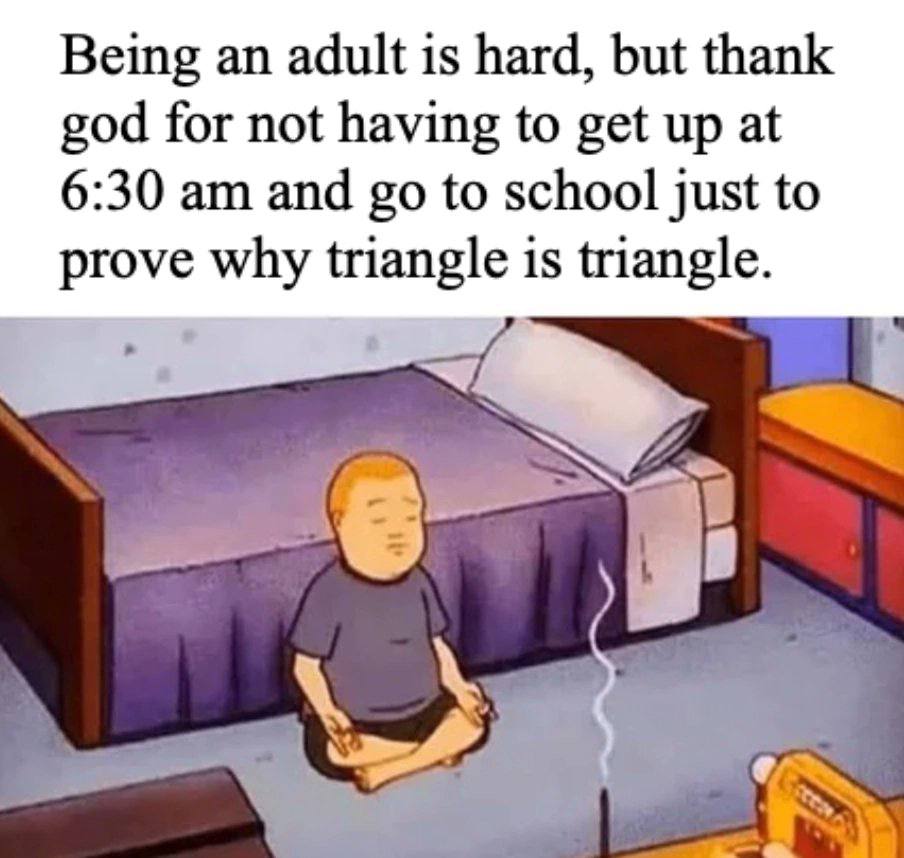 Being an adult is hard, but thank god for not having to get up at 6:30 and to school just to prove why triangle is triangle.