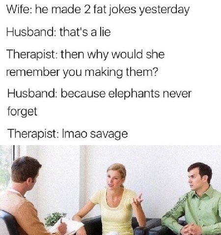 Wife: he made 2 fat jokes yesterday Husband: that's a lie Therapist: then why would she remember you making them? Husband: because elephants never forget Therapist: lmao savage 9