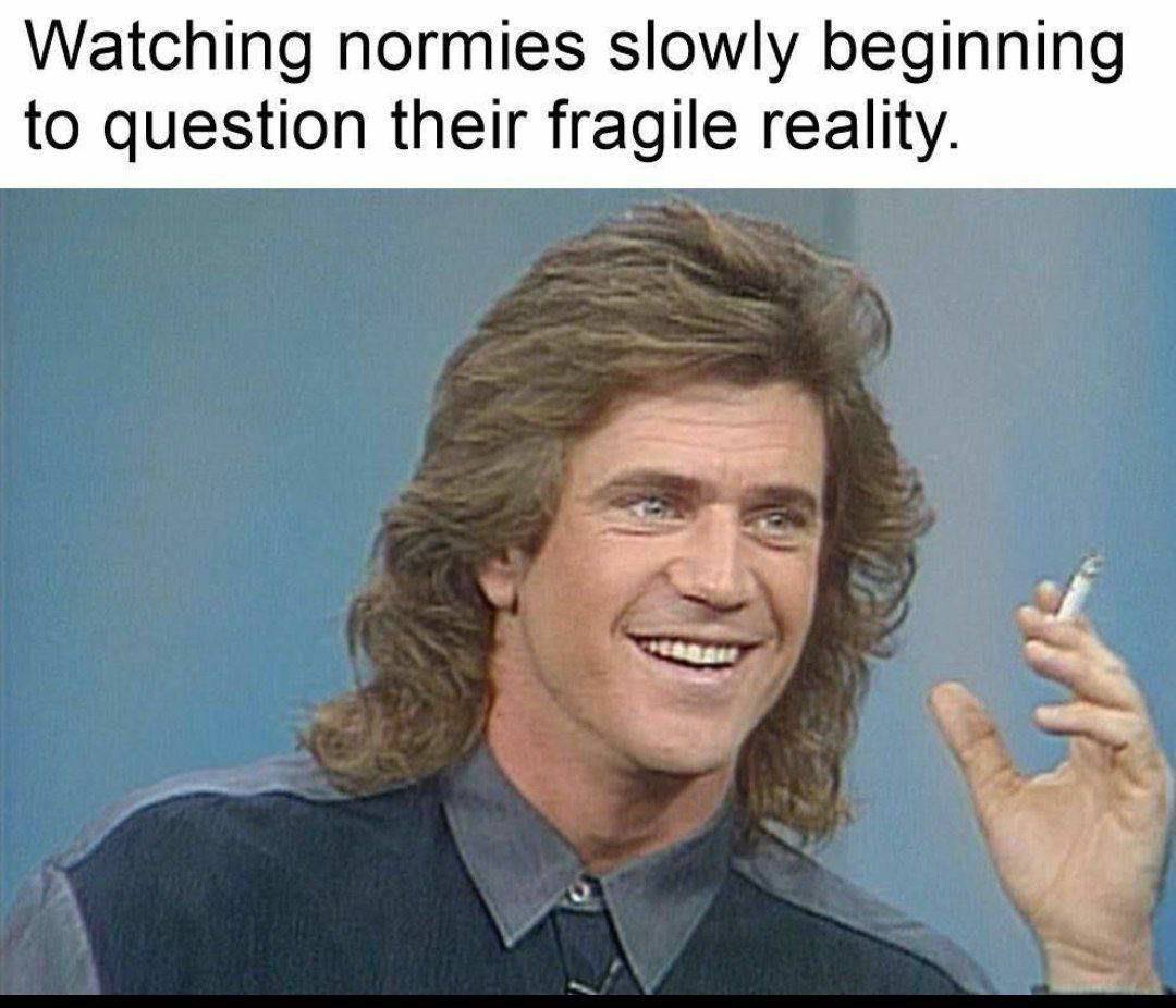 Watching normies slowly beginning to question their fragile reality.