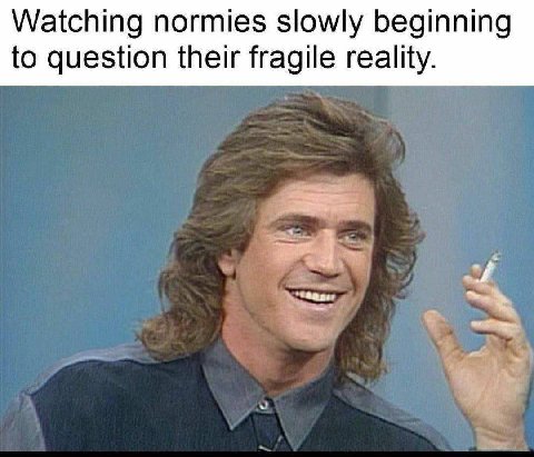 Watching normies slowly beginning to question their fragile reality.