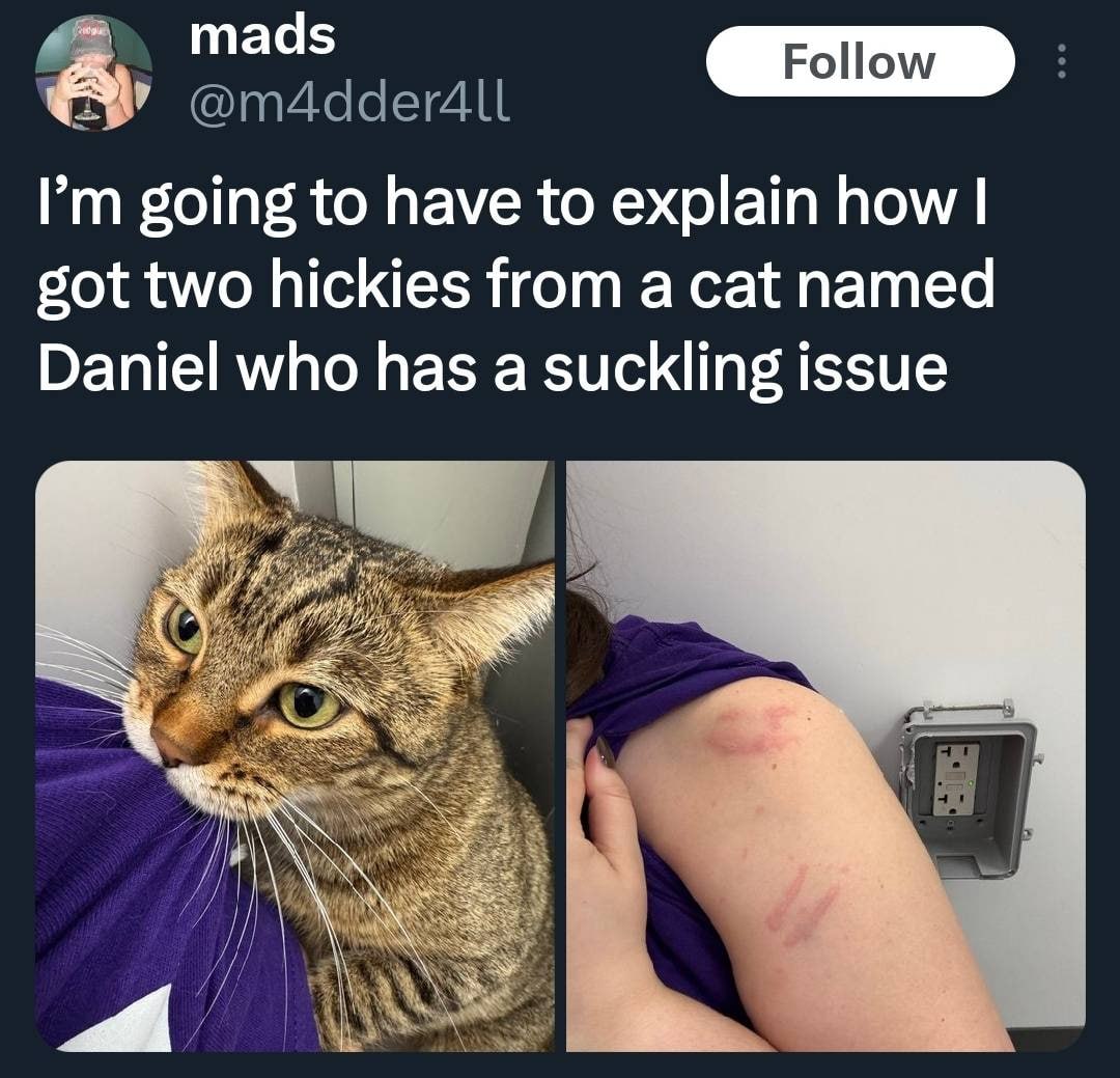 going to have to explain how got two hickies from а cat named Daniel who has a suckling issue