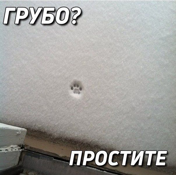 ПРОСТИТЕ