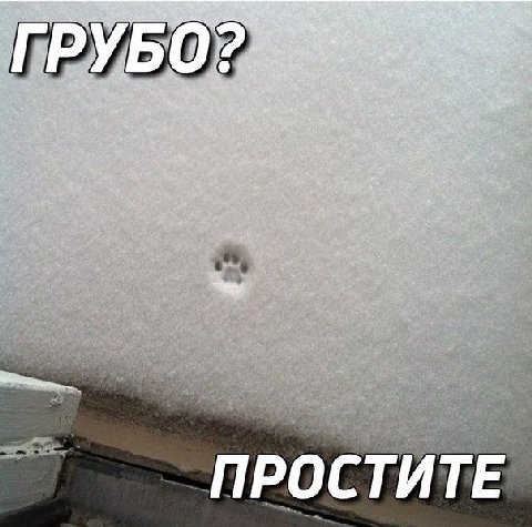 ПРОСТИТЕ