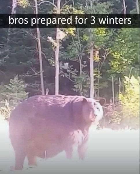 bros prepared for 3 winters 23
