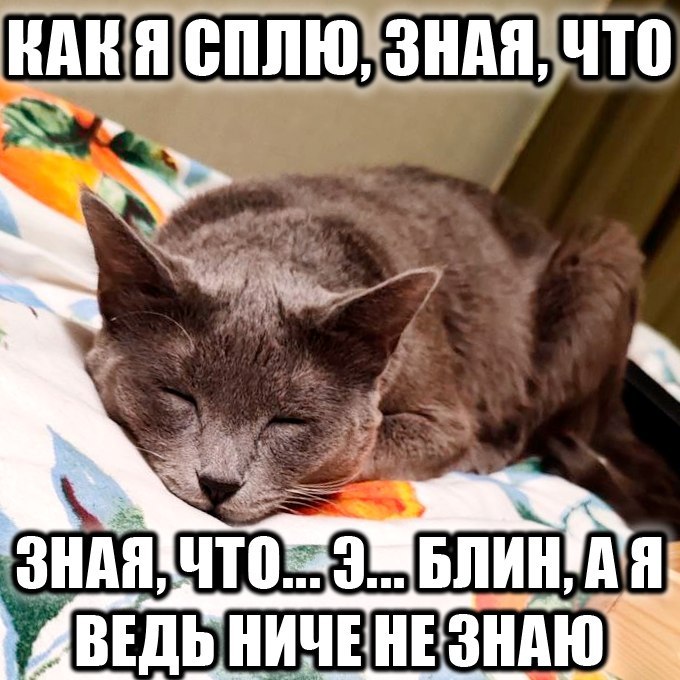 RAR Я СПЛЮ, ЗНАЯ, ЧТО ДВЕ ВЕДЬ