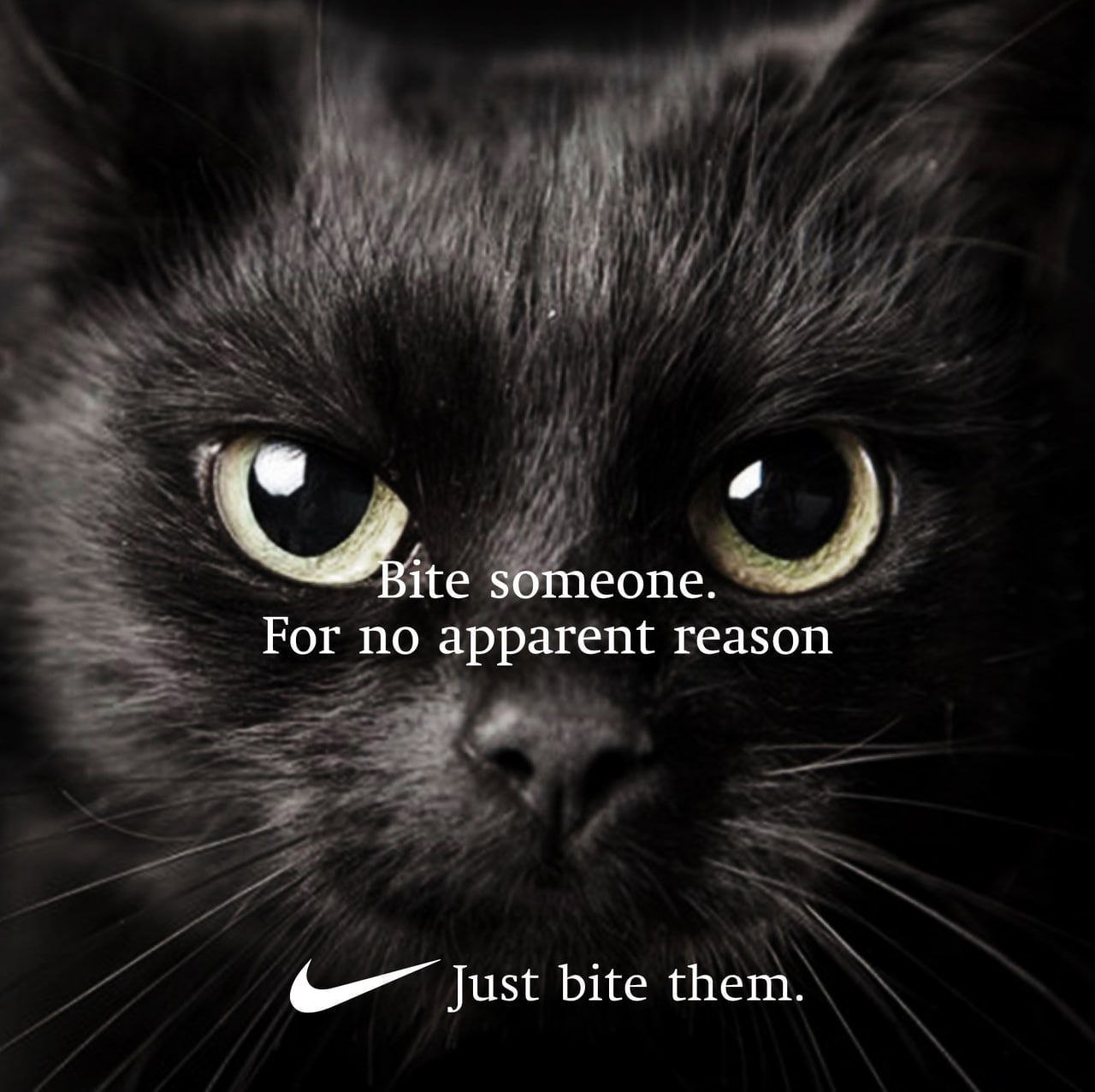 ite зотеопе. For no apparent reason bite them.