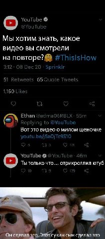 Мы хотим знать, какое видео вы смотрели на повторе? Вот это видео о милом щеночке Ты только что... отрикроллил ютуб Он сделал это. Этот сукин сын сделал это