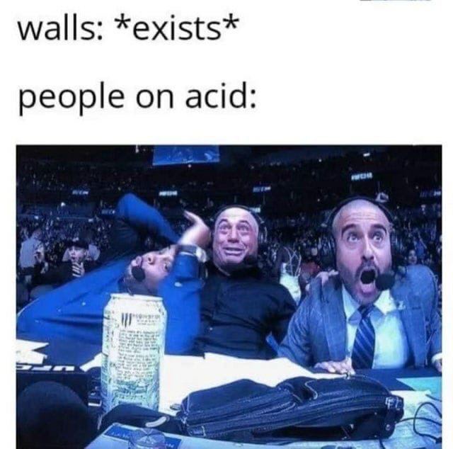walls: *exists* people on acid: