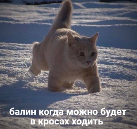 балин когда можно будет в кросах ходить