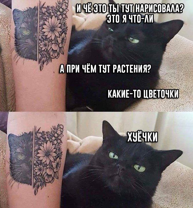 ТУТ НАРИСОВАЛА? A ПРИ ЧЕМ ТУТ РАСТЕНИЯ? КАКИЕ-ТО ХУЕЧКИ