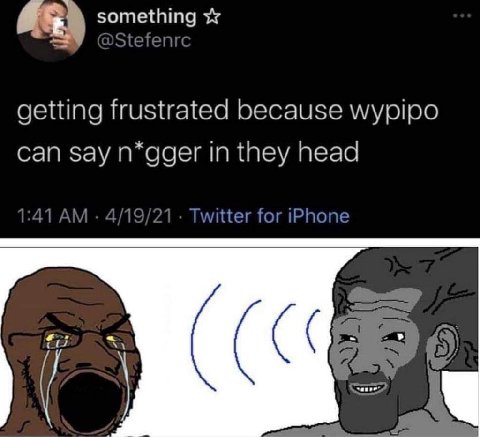 something getting frustrated because wypipo can say n*gger in they head