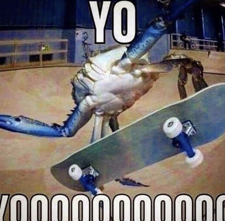 4 2