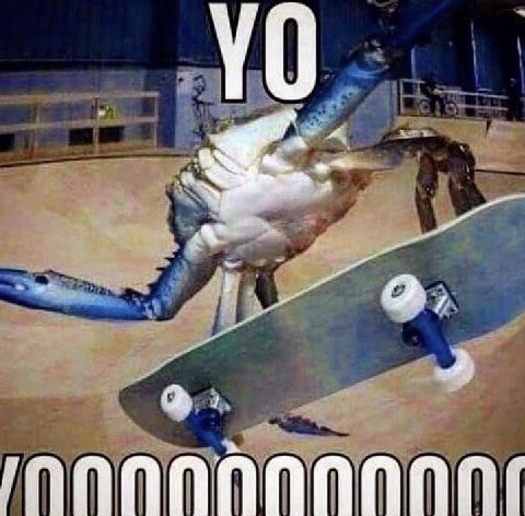 4 2