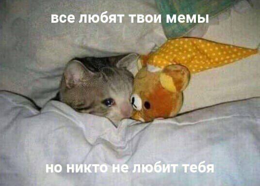 все любят твои мемы но любйт тебя