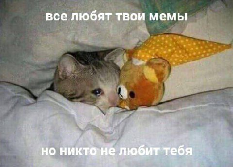 все любят твои мемы но любйт тебя