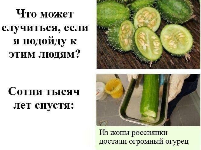 Что может случиться, если я подойду к этим людям? Сотни тысяч лет спустя: жопы россиянки достали огромный огурец