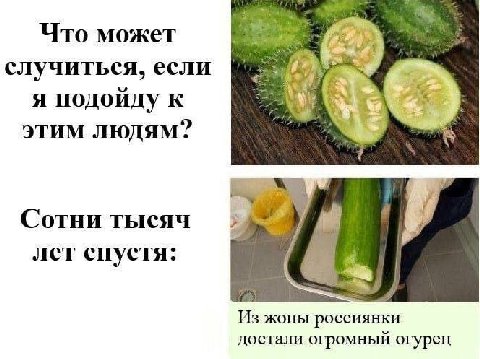 Что может случиться, если я подойду к этим людям? Сотни тысяч лет спустя: жопы россиянки достали огромный огурец