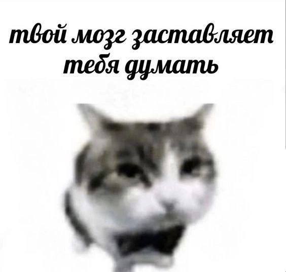 mozz заставляет тебя думать