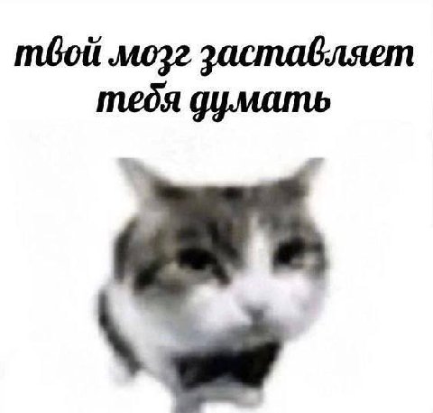 mozz заставляет тебя думать