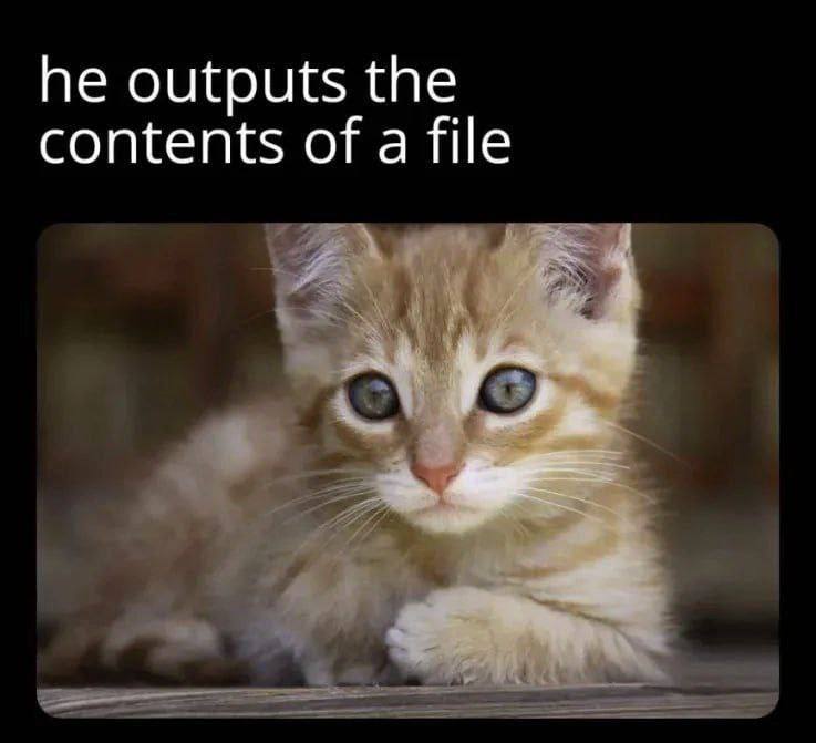 he outputs the contents of a file