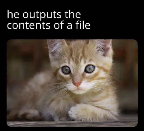 he outputs the contents of a file