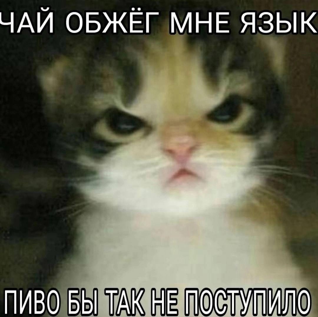 ЧАЙ ОБЖЕГ МНЕ ЯЗЫК ПИВО БЫ ТАК НЕ ПОСТУПИЛО