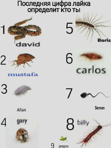 Последняя цифра лайка определит кто ты david Boris 2 carlos mustata Allan Semen gary 4 billy С gregory